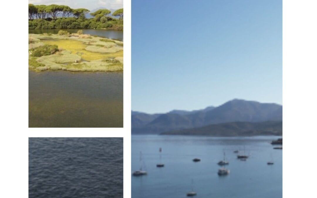 Short films from the Université Côte d’Azur