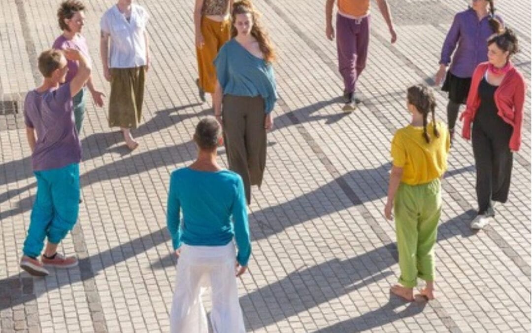 Cie Les Somatonautes dance show