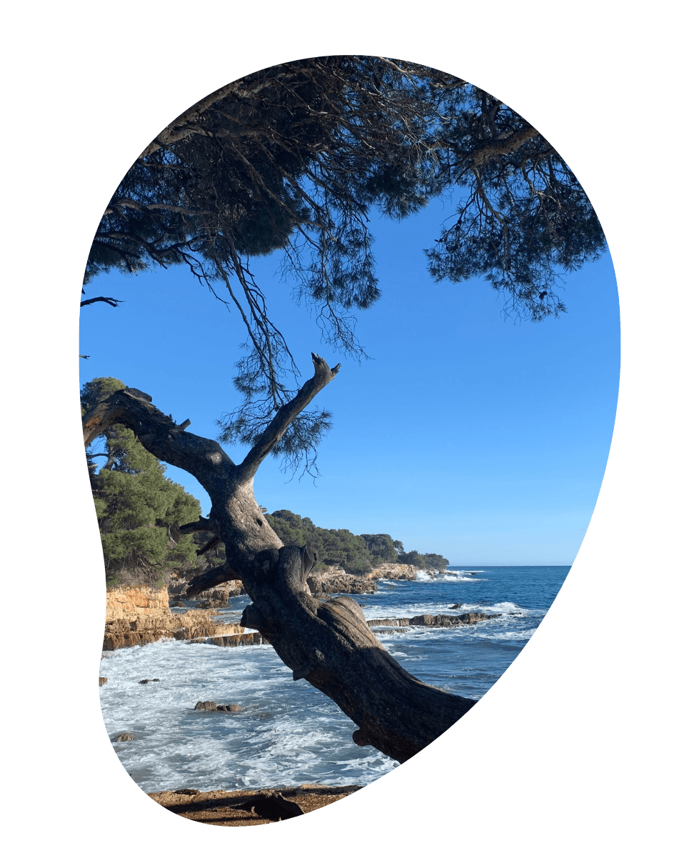 Team-building-ile-de-lerins