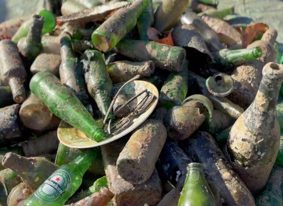 Short films from the Université Côte d’Azur