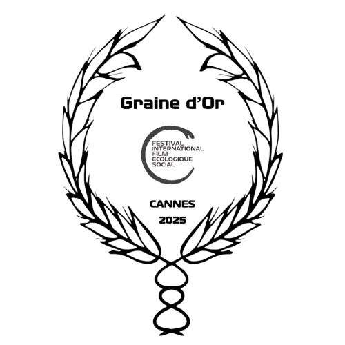 graine-d-or
