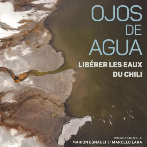 [Ojos de Agua, Liberating Chile's waters] - Full Price - FIFES 2026 - Miramar
