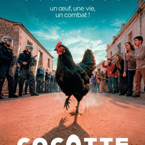 [Cocotte] - Tarif réduit - FIFES 2026 - Miramar