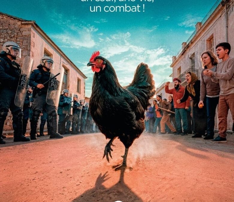 Cocotte