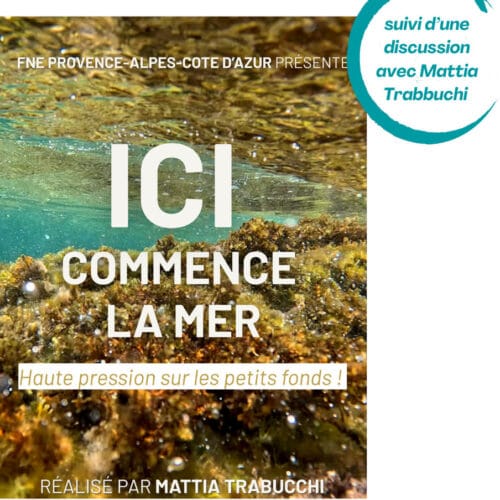 [Ici commence la mer] - Plein tarif - FIFES 2026 - Miramar