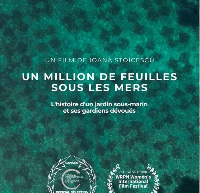 Un million de feuilles sous les mers