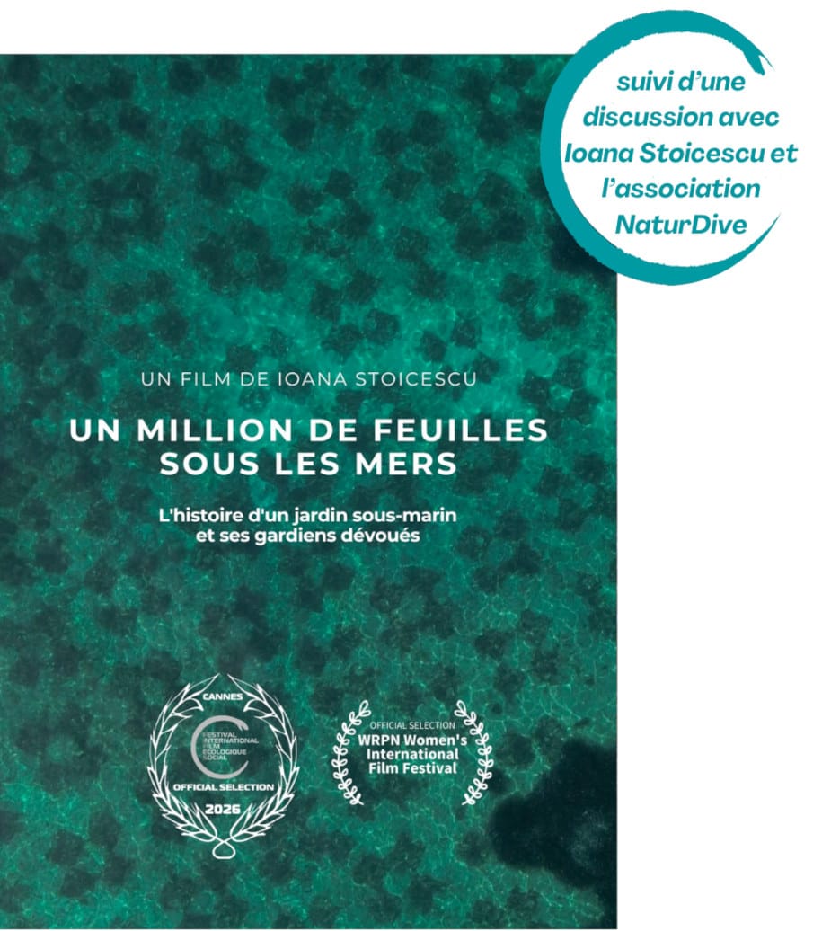 un-million-de-feuilles-sous-les-mers
