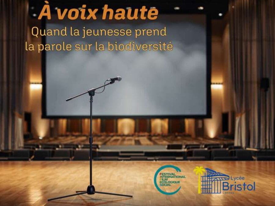 Projet Jeunesse